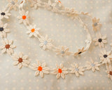 コットンデイジーレース (2m)