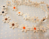 コットンデイジーレース (2m)