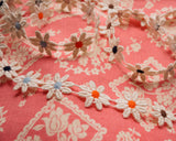 コットンデイジーレース (2m)