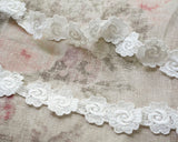 白いベニスレースのデイジー (1m)