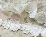 白いベニスレースのデイジー (1m)