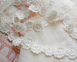 白いベニスレースのデイジー (1m)