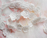 白いベニスレースのデイジー (1m)